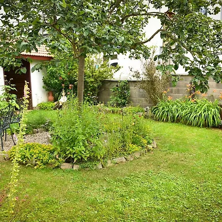 Axcher Hof Apartmán *